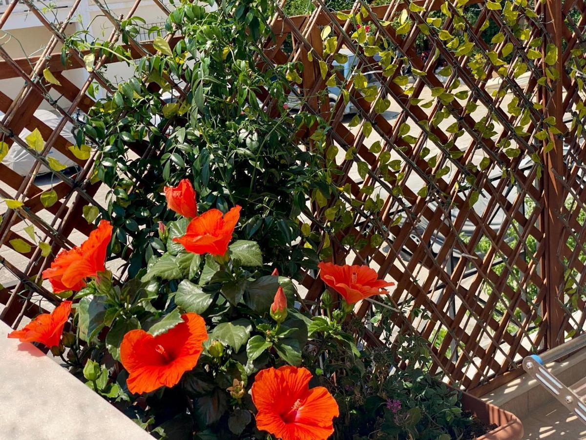 Filippos Apartments Argostoli  Eksteriør billede